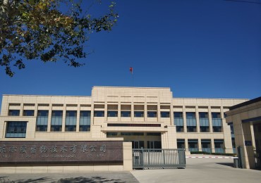 portfolio-image